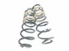 Rear coil spring 2171943
