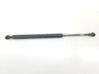 Tailgate/trunk strut/damper 51248254281