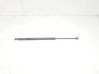 Tailgate/trunk strut/damper 51248402405
