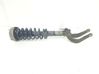 Front shock absorber/damper 31316781920
