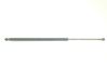 Tailgate/trunk strut/damper 51243400379