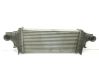 Radiador intercooler A2515000000