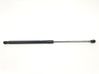 Tailgate/trunk strut/damper 1666068
