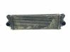 Radiador intercooler A9065010101
