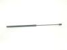 Tailgate/trunk strut/damper 1747492