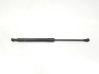 Front bonnet/hood damper/strut 51237129190