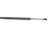 Tailgate/trunk strut/damper 51247129194