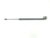 Tailgate/trunk strut/damper GHP962620A
