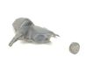 Windshield washer fluid reservoir/tank 13260579