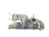 Intake manifold 96440376