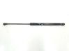 Tailgate/trunk strut/damper 51247060622