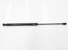 Tailgate/trunk strut/damper 96940954