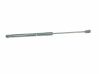 Tailgate/trunk strut/damper 8W9827552C