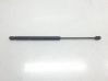Tailgate/trunk strut/damper 904520001R