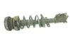 Amortiguador delantero 545016850R