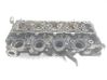 Engine head B1178019