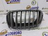Front grill 51137185223