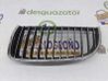 Front grill 51137120009