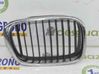 Front grill 51137005838