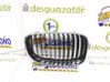 Rejilla delantera 51137166439
