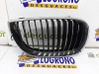 Front grill 51137077130