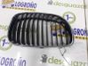 Front grill 51137179656