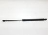 Tailgate/trunk strut/damper 7118885