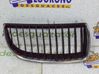 Kühlergrill 51137120008
