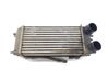 Radiador intercooler FT766K775BA