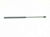 Tailgate/trunk strut/damper 1146649