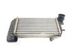 Radiador intercooler BV619L440CJ