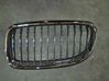 Front grill 51137201969