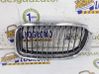 Front grill 51137201969