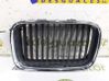 Front grill 51138122237
