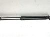Front bonnet/hood damper/strut 7060550