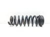 Rear coil spring 
