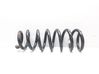 Front coil spring 