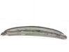 Wiper trim 7405A045