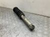 Rear shock absorber/damper 6785984