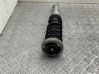 Rear shock absorber/damper 6785984