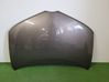 Motorhaube 