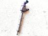 Fuel injector 0445110159