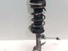 Rear shock absorber/damper 