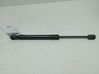 Tailgate/trunk strut/damper 
