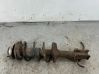Front shock absorber with coil spring 