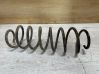 Front coil spring 