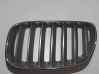 Front grill 51137113737
