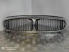 Front grill 1X435510