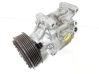 Klimakompressor Pumpe 5A7975600517469310