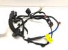 Rear door wiring loom 91631J9010